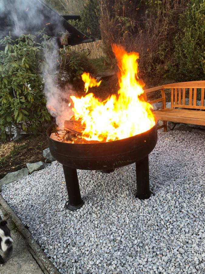Ferienhaus Winterberg Fuer 12 Personen Sauna Garten Garage Hund Eksteriør billede