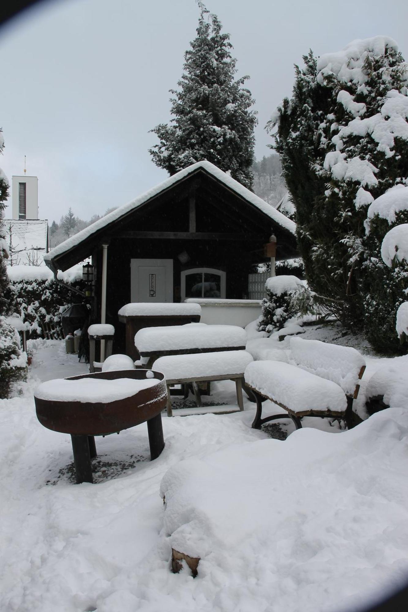 Ferienhaus Winterberg Fuer 12 Personen Sauna Garten Garage Hund Eksteriør billede